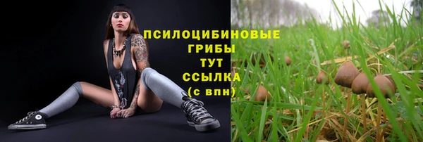 прущие крисы Краснослободск