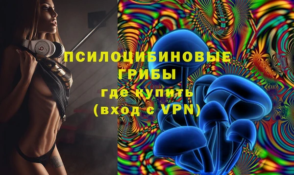 стаф Красноперекопск